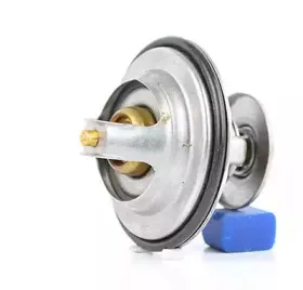 BSG 60-125-001 BSG Термостат, охлаждающая жидкость